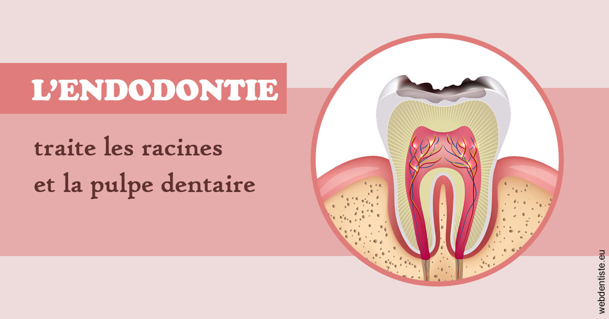 https://dr-reich-cyril.chirurgiens-dentistes.fr/L'endodontie 2